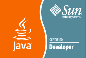 Java Developer