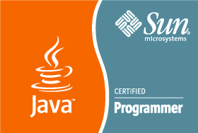 Java Programmer